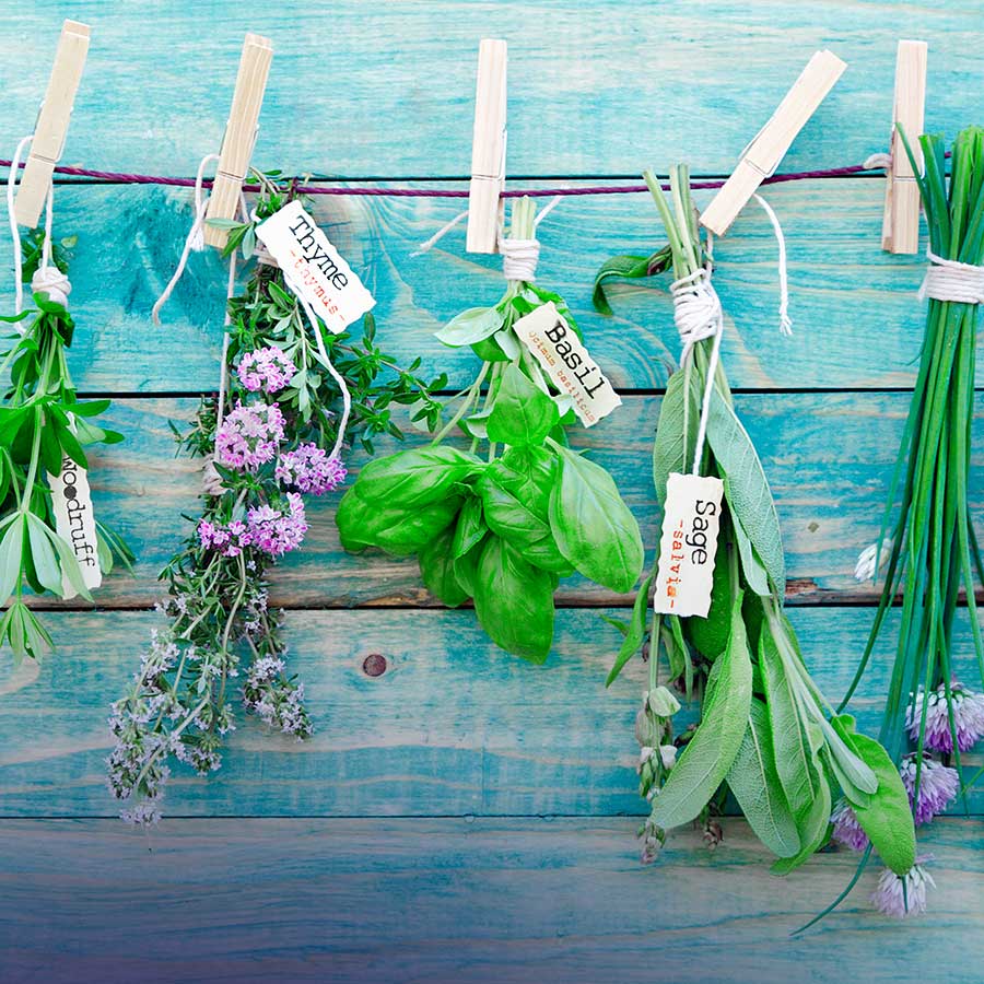 Qu’est-ce qui ne peut manquer dans une cuisine ! Les épices et les herbes !